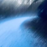 Murky, snowy path through woods ©Stillness to Fullness