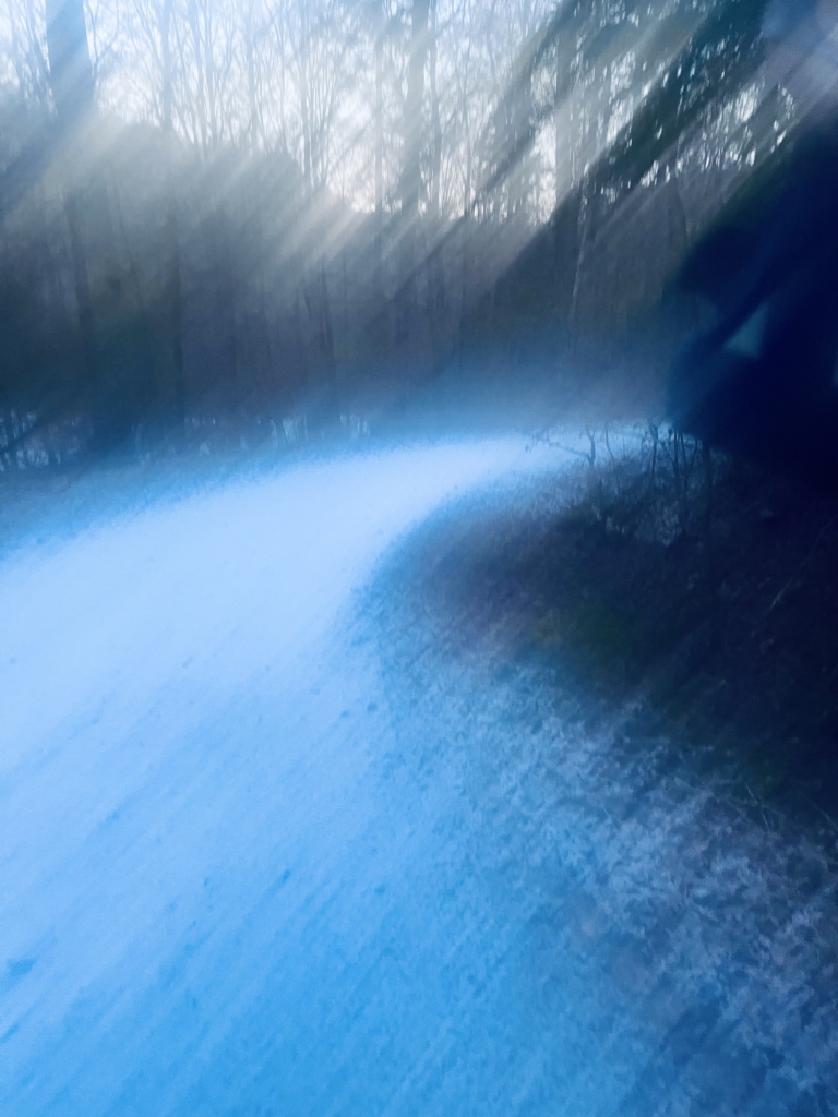 Murky, snowy path through woods ©Stillness to Fullness